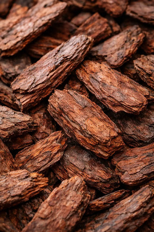 Maritime Pine Bark - 50mg