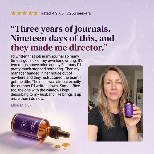 Featured review